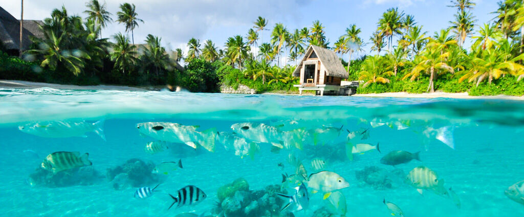 InterContinental Bora Bora & Thalasso Spa by IHG ★★★★★ - Tout le luxe d’une villa sur pilotis dans la douceur d’un lagon polynésien et sous le soleil de Bora Bora. - Bora Bora, Polynésie Française