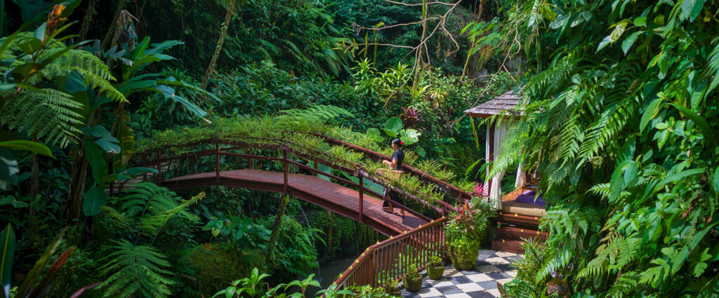Hanging Gardens of Bali ★★★★★ - Sanctuaire de luxe et de bien-être absolu au cœur de la forêt tropicale balinaise. - Bali, Indonesia