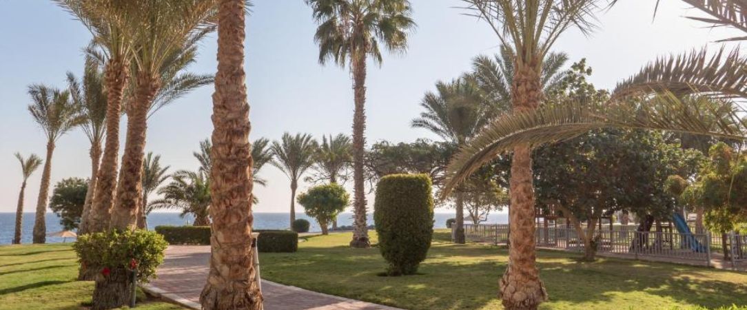 Serenity Alpha Beach ★★★★★ - Un refuge cinq étoiles en bord de mer Rouge à Hurghada, entre jardins luxuriants et douceur orientale. - Hurghada, Égypte