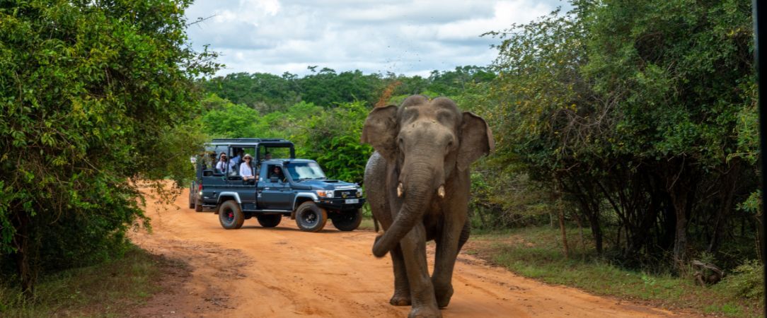 Hilton Yala ★★★★★ - Une immersion luxueuse aux portes du parc national de Yala, entre océan Indien et élégance contemporaine. - Palatupana, Sri Lanka