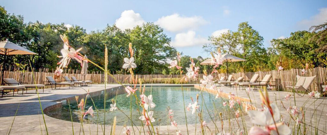 Les Hayes en Sologne ★★★★ - Vivez l’expérience d’un menu en 3 plats inclus pour faire de votre séjour une véritable parenthèse culinaire. - Centre-Val de Loire, France