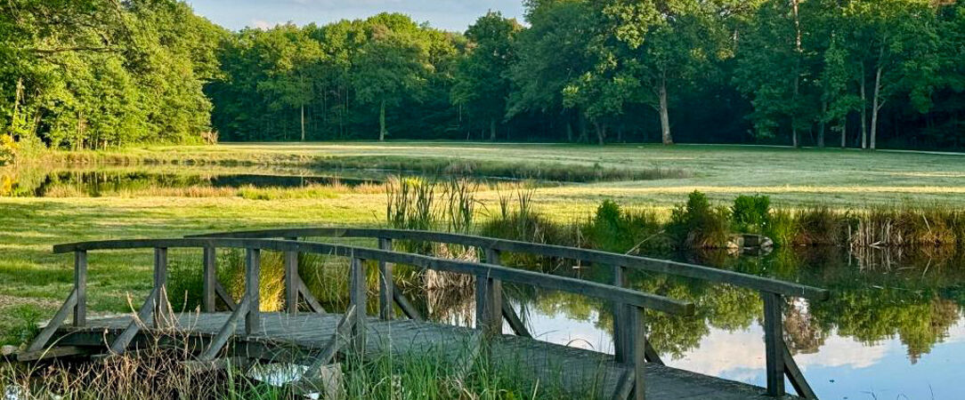 Les Hayes en Sologne ★★★★ - Un château au cœur de la Sologne, idéal pour un séjour nature et gourmand près des châteaux de la Loire. - Centre-Val de Loire, France
