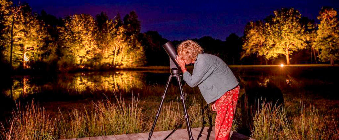 Les Hayes en Sologne ★★★★ - Un château au cœur de la Sologne, idéal pour un séjour nature et gourmand près des châteaux de la Loire. - Centre-Val de Loire, France