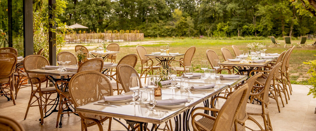 Les Hayes en Sologne ★★★★ - Un château au cœur de la Sologne, idéal pour un séjour nature et gourmand près des châteaux de la Loire. - Centre-Val de Loire, France