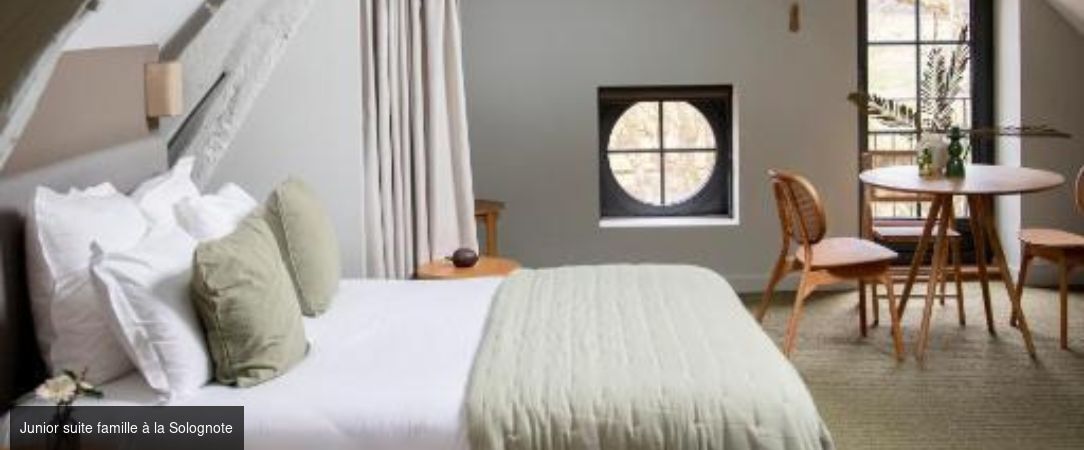 Les Hayes en Sologne ★★★★ - Un château au cœur de la Sologne, idéal pour un séjour nature et gourmand près des châteaux de la Loire. - Centre-Val de Loire, France