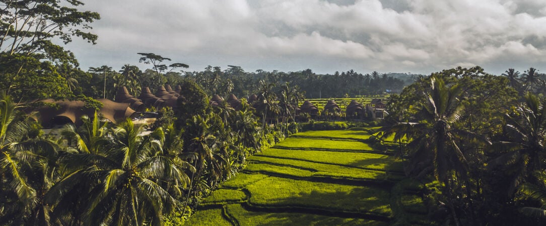 Equipoise Resort & Spa Ubud ★★★★★ - Un sanctuaire de bien-être à Ubud, pensé pour ralentir et s’abandonner dans la quiétude de la nature. - Bali, Indonésie