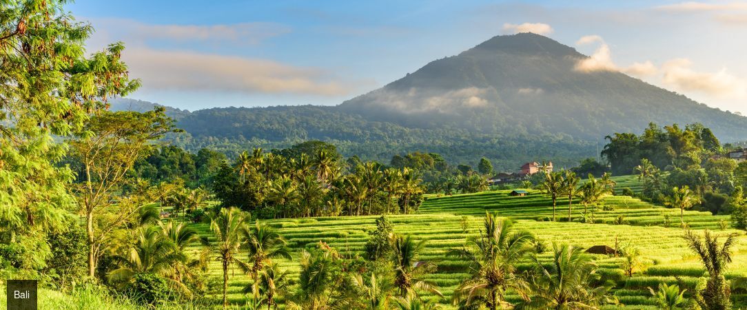 Equipoise Resort & Spa Ubud ★★★★★ - Un sanctuaire de bien-être à Ubud, pensé pour ralentir et s’abandonner dans la quiétude de la nature. - Bali, Indonésie