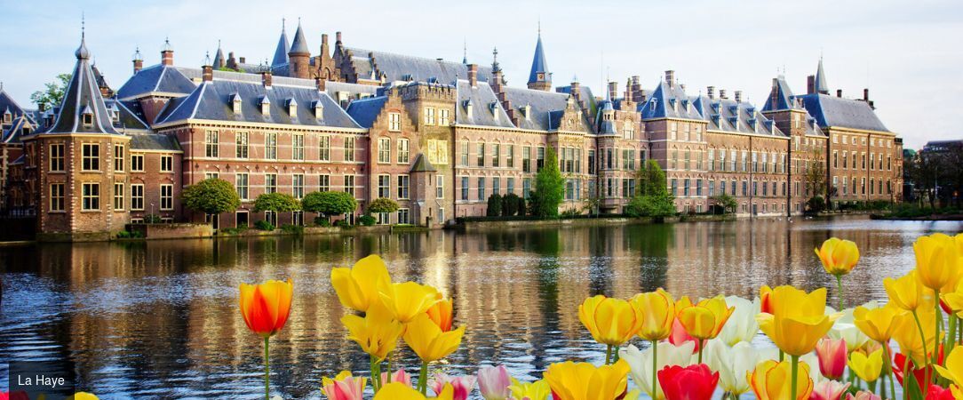 TRIBE Hotel The Hague Centraal ★★★★ - Une adresse contemporaine au cœur de La Haye, entre design affirmé et art de vivre néerlandais. - La Haye, Pays-Bas