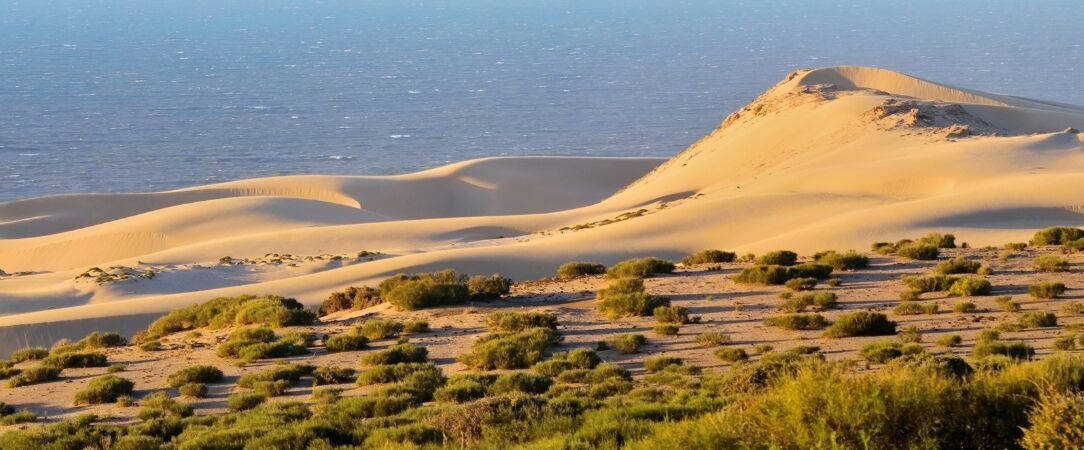 YMY Beach House - Suites ultra cosy, aventure et relaxation face à l’indicible beauté de l’Atlantique marocain. - Agadir, Morocco
