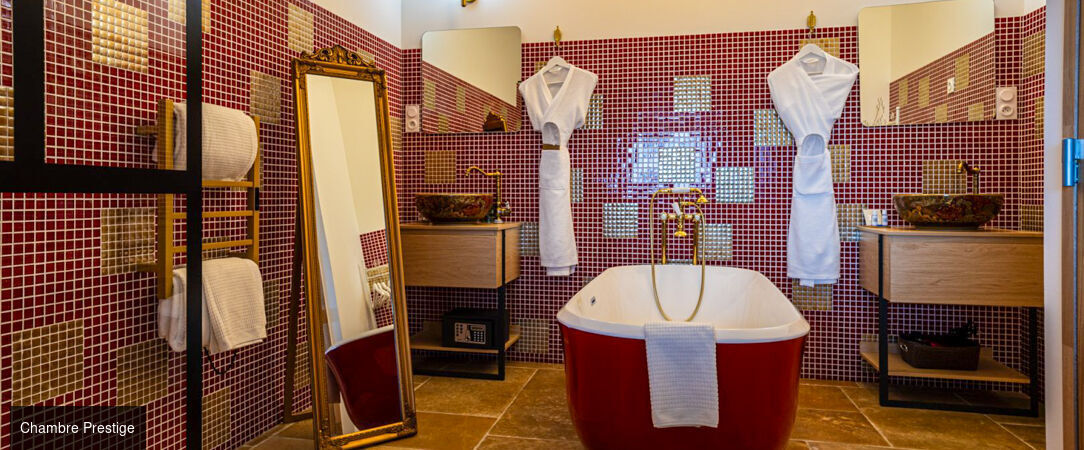 Le Palais D'Aglaé ★★★★ - Vue panoramique étoilée sur le Luberon et les Alpilles. - Gordes, France