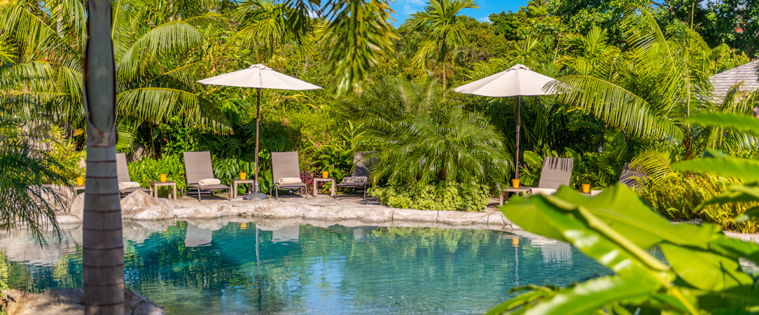 Habitation Saint Charles ★★★★ - Votre refuge douillet dans la douceur de la Guadeloupe, entre élégance créole et sérénité absolue. - Petit Bourg, Guadeloupe