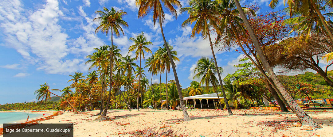 Habitation Saint Charles ★★★★ - Votre refuge douillet dans la douceur de la Guadeloupe, entre élégance créole et sérénité absolue. - Petit Bourg, Guadeloupe