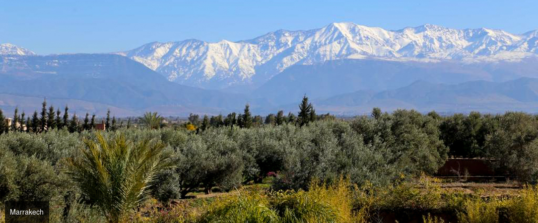 Riad Al Mendili Private Resort & Spa ★★★★ - Un riad élégant aux portes de Marrakech, entre palmiers, silence et douceur orientale. - Marrakech, Maroc