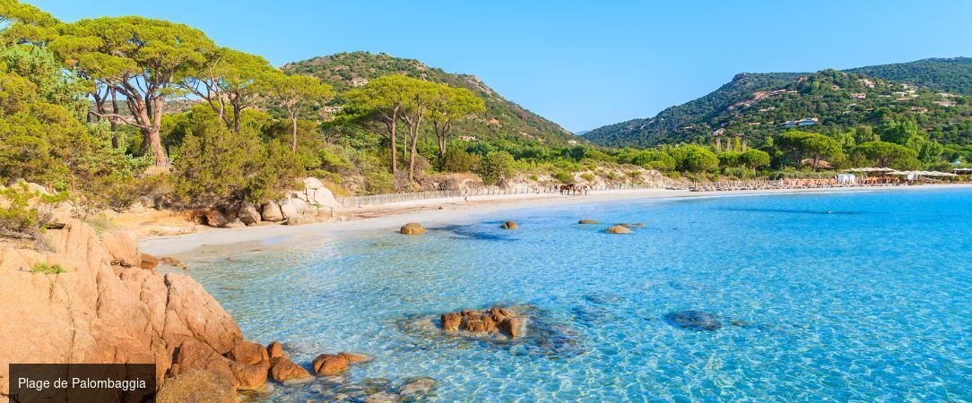 Domaine de Peretti della Rocca ★★★★ - Toute l’élégance confidentielle d’une jolie adresse familiale au cœur d’un domaine viticole corse. - Corse, France
