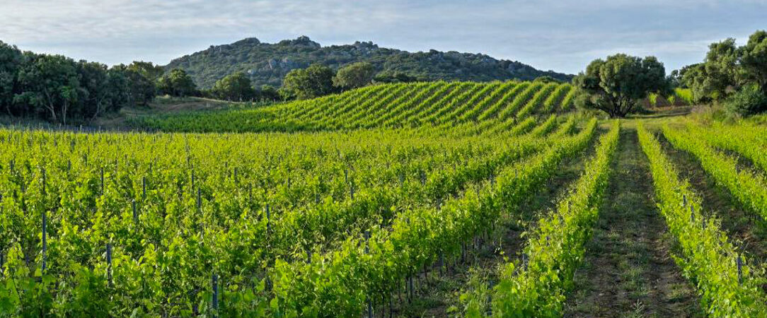 Domaine de Peretti della Rocca ★★★★ - Toute l’élégance confidentielle d’une jolie adresse familiale au cœur d’un domaine viticole corse. - Corse, France