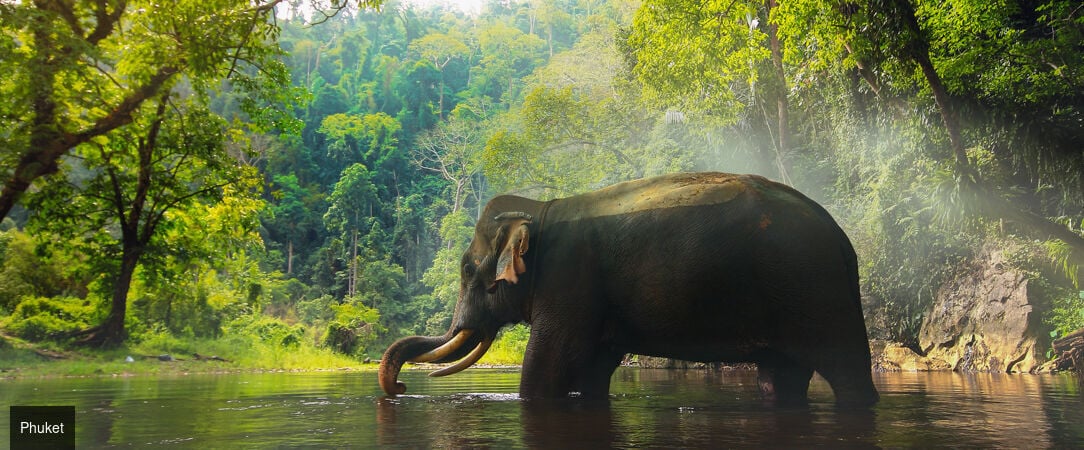 Radisson RED Phuket Patong Beach ★★★★★ - Expérience balnéaire en Thaïlande, entre luxe et design. - Phuket, Thaïlande