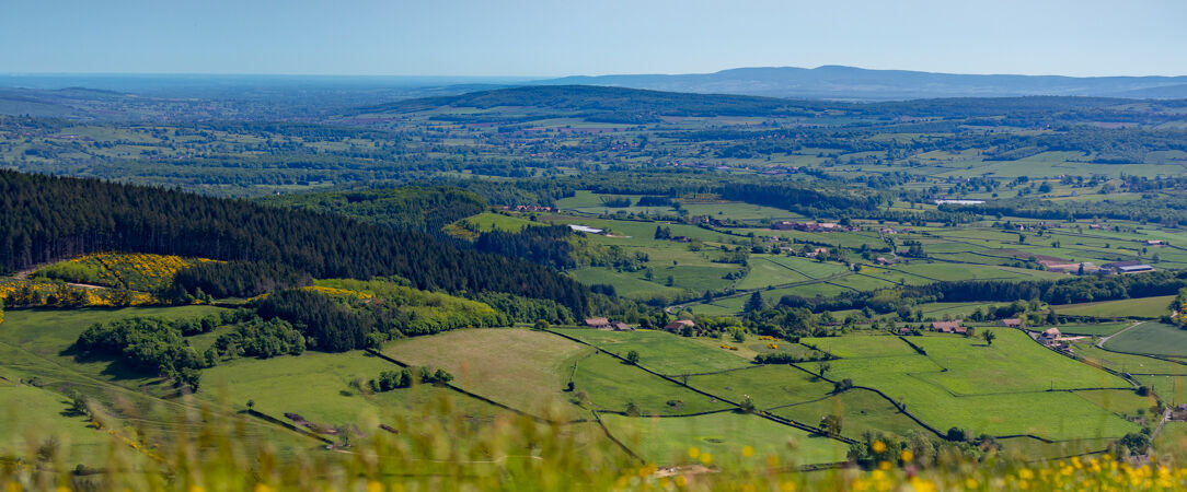 Maison Doucet ★★★★★ - Relais & Château - Escapade de prestige en Bourgogne au cœur du terroir passion charollais. - Bourgogne, France