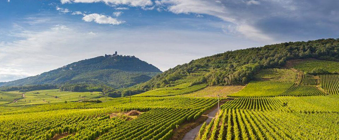 Villa Roubia Hotel & Spa - Une ancienne demeure viticole nichée au cœur des vignobles du Minervois. - Luberon, France