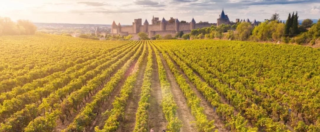 Villa Roubia Hotel & Spa - Une ancienne demeure viticole nichée au cœur des vignobles du Minervois. - Luberon, France