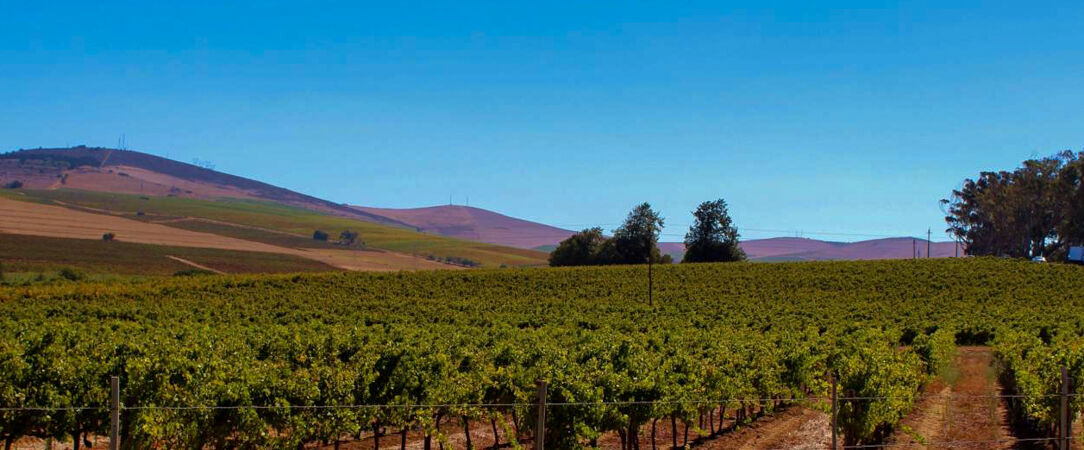 Villa Roubia Hotel & Spa - Une ancienne demeure viticole nichée au cœur des vignobles du Minervois. - Luberon, France