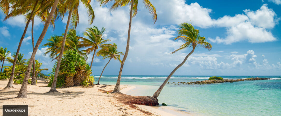 Domaine Bonheur Indigo ★★★★ - Votre villa et sa piscine privée en Guadeloupe face à l’Atlantique et ses lagons turquoise. - Guadeloupe, France