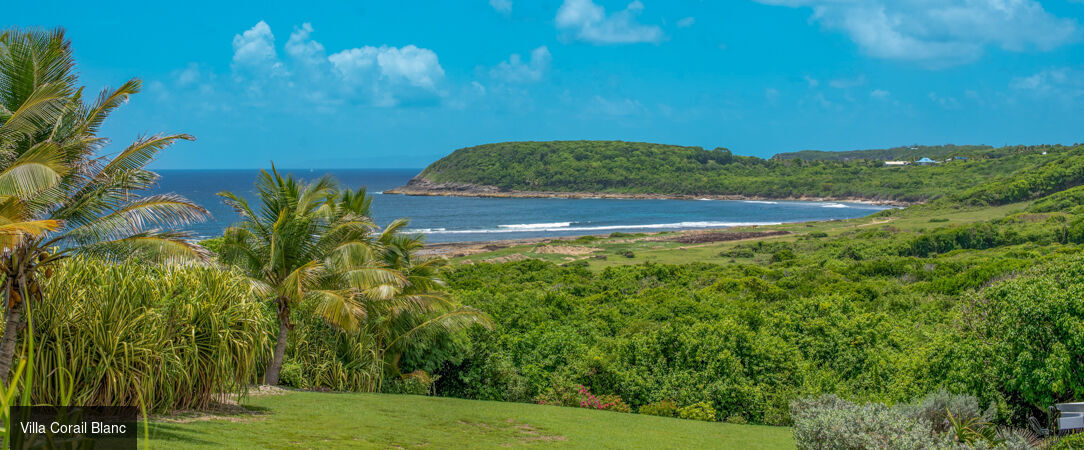 Domaine Bonheur Indigo ★★★★ - Votre villa et sa piscine privée en Guadeloupe face à l’Atlantique et ses lagons turquoise. - Guadeloupe, France
