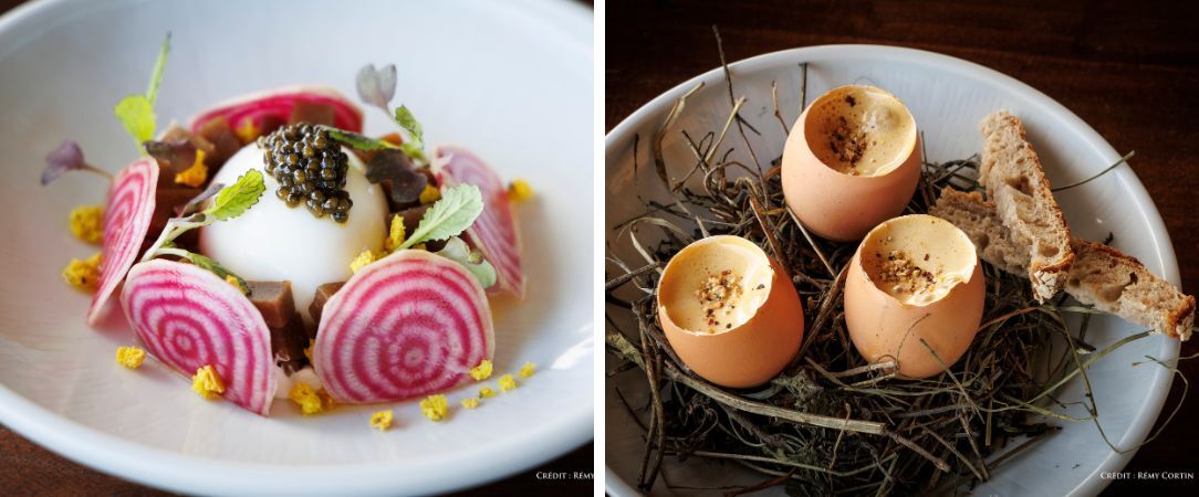 Domaine de la Font des Pères - Chambres avec vue sur les vignes dans le sud de la France. - Var, France
