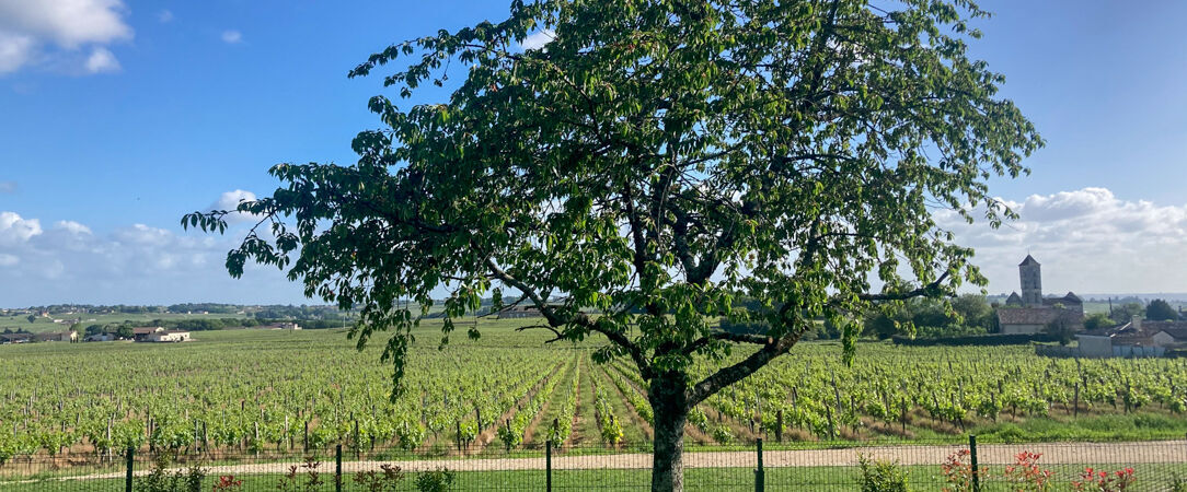 Aux Ducs de Sienne ★★★★ - Une adresse d'inspiration toscane nichée au cœur des vignobles de Montagne-Saint-Émilion. - Saint-Émilion, France