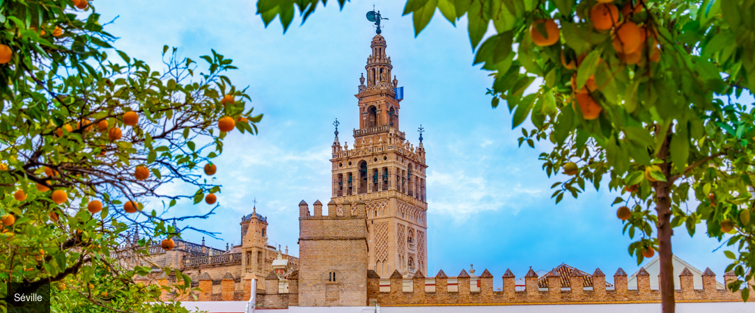 Vincci Selección Unuk ★★★★★ GL - Un écrin de luxe contemporain en plein cœur de Séville et de l’âme andalouse. - Séville, Espagne