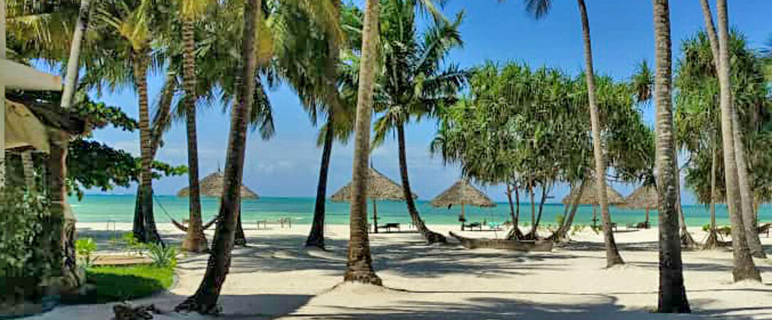 Pongwe Bay Resort ★★★★ - Adults Only 10+ - Une escapade swahilie confidentielle en All Inclusive sur la côte est de Zanzibar. - Zanzibar, Tanzania