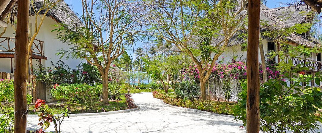 Pongwe Bay Resort ★★★★ - Adults Only 10+ - Une escapade swahilie confidentielle sur la côte est de Zanzibar. - Zanzibar, Tanzanie