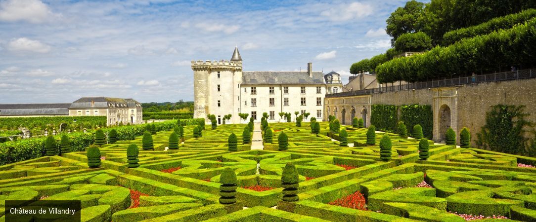 Domaine de la Tortinière ★★★★ - Dernière minute - Prenez la route des Châteaux de la Loire et profitez d’une parenthèse châtelaine d’exception. - Centre-Val de Loire, France