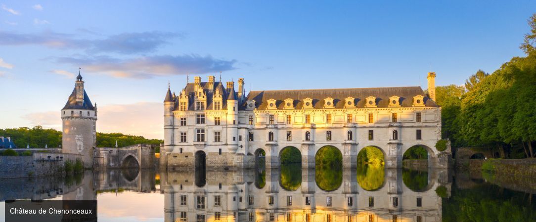 Domaine de la Tortinière ★★★★ - Dernière minute - Prenez la route des Châteaux de la Loire et profitez d’une parenthèse châtelaine d’exception. - Centre-Val de Loire, France