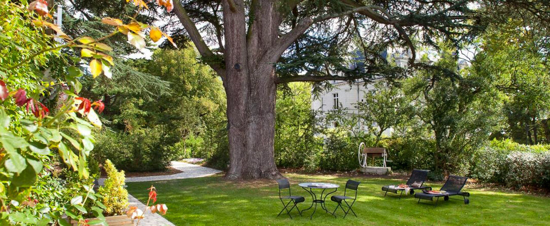 Domaine de la Tortinière ★★★★ - Dernière minute - Prenez la route des Châteaux de la Loire et profitez d’une parenthèse châtelaine d’exception. - Centre-Val de Loire, France