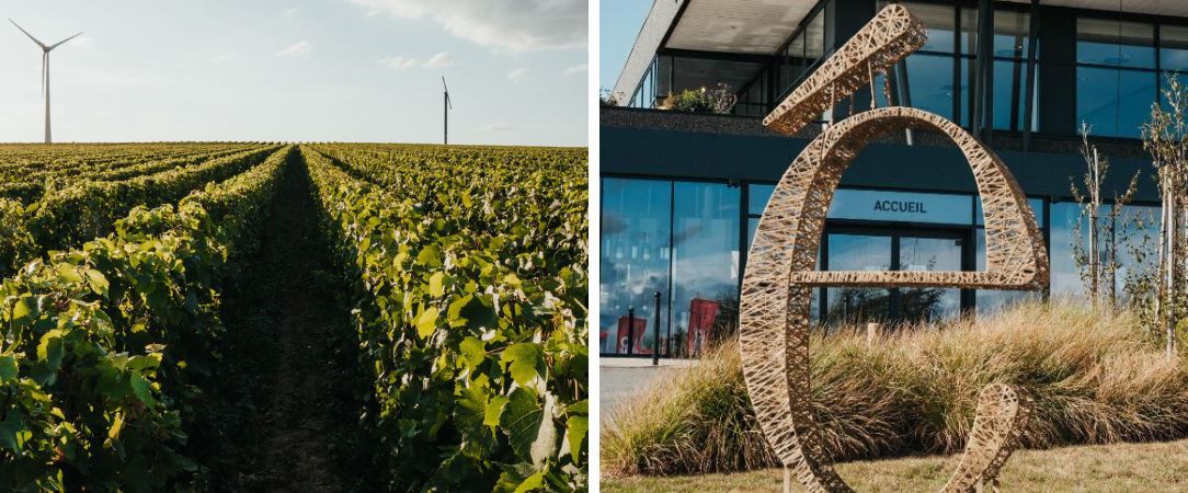 Eole Resort - Suites de Prestige ★★★★ - Resort viticole au cœur du Hainaut, entre vignes & gastronomie. - Wallonie, Belgique
