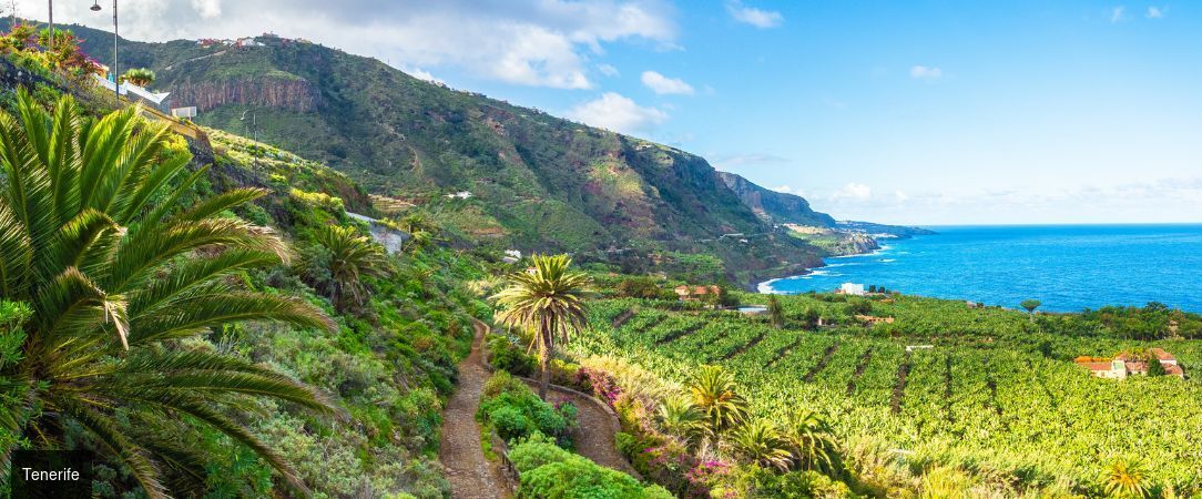 Océano Health Spa Hotel ★★★★ - Parenthèse thalasso face à l'Atlantique, au cœur d'une nature sauvage. - Tenerife, Îles Canaries