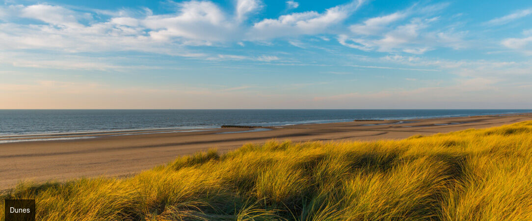 Dune Hotel ★★★★ - Escale contemporaine au cœur des dunes, sur la côte belge. - Bruxelles, Belgique