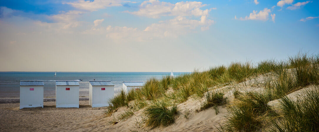 Dune Hotel ★★★★ - Escale contemporaine au cœur des dunes, sur la côte belge. - Bruxelles, Belgique
