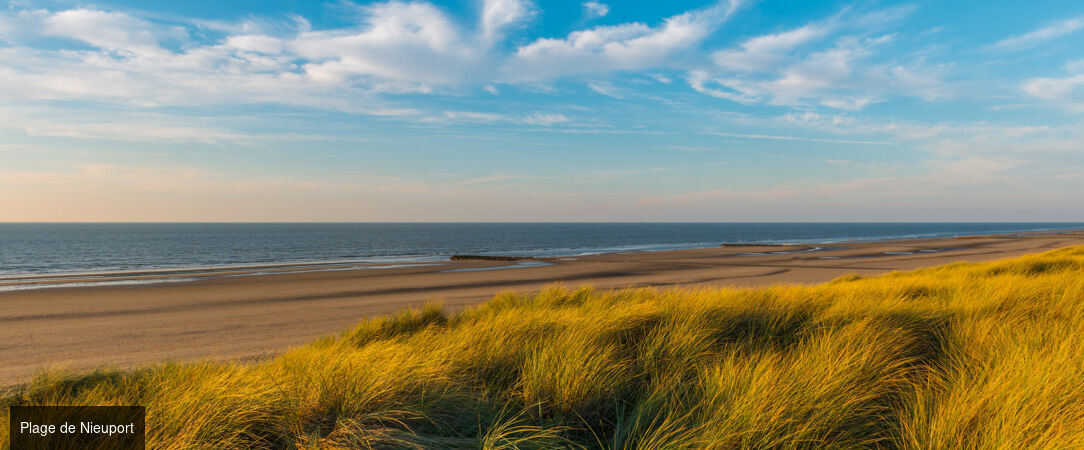 Dune Hotel ★★★★ - Escale contemporaine au cœur des dunes, sur la côte belge. - Nieuport, Belgique