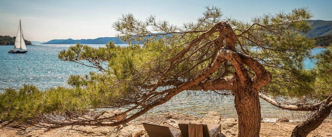 Aminess Senses Resort ★★★★ - Escapade sensorielle au creux d’une crique de Hvar. - île de Hvar, Croatia