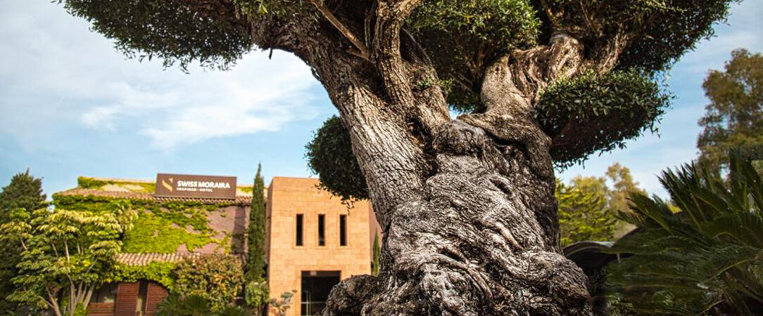 Hotel Swiss Moraira ★★★★ - A hidden treasure in the Costa Blanca. - Costa Blanca, Spain