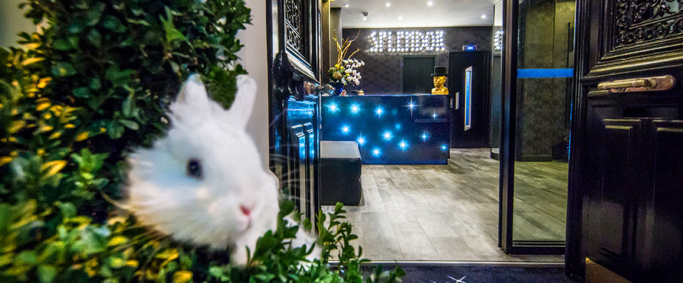 Splendor Hotel - A magical address in the 17th arrondissement - Paris, France