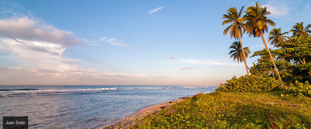 Emotions by hodelpa Juan Dolio ★★★★ - Une parenthèse caribéenne en All Inclusive, entre plage dorée, douceur tropicale et art de vivre dominicain. - Juan Dolio, République dominicaine