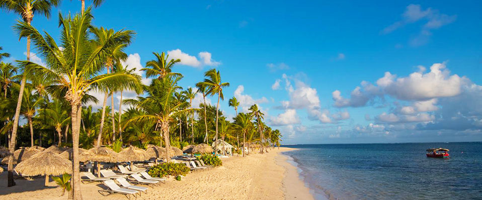 Catalonia Royal Bavaro ★★★★★ - Adults Only - Séjour 5 étoiles en All Inclusive dans les Caraïbes. - Punta Cana, République dominicaine
