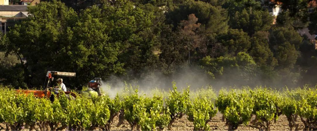 MAISON BERARD, Hôtel – Restaurant – Spa - Vivez l’expérience d’un menu Découverte en 4 actes inclus pour faire de votre séjour une véritable parenthèse culinaire. - La Cadière-d'Azur, France