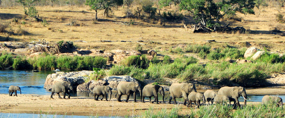 Mpumalanga, Afrique du Sud - Par Laura Howlett, correspondante de VeryChic - Mpumalanga, Af. du Sud