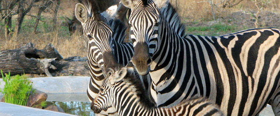 Mpumalanga, Afrique du Sud - Par Laura Howlett, correspondante de VeryChic - Mpumalanga, Af. du Sud