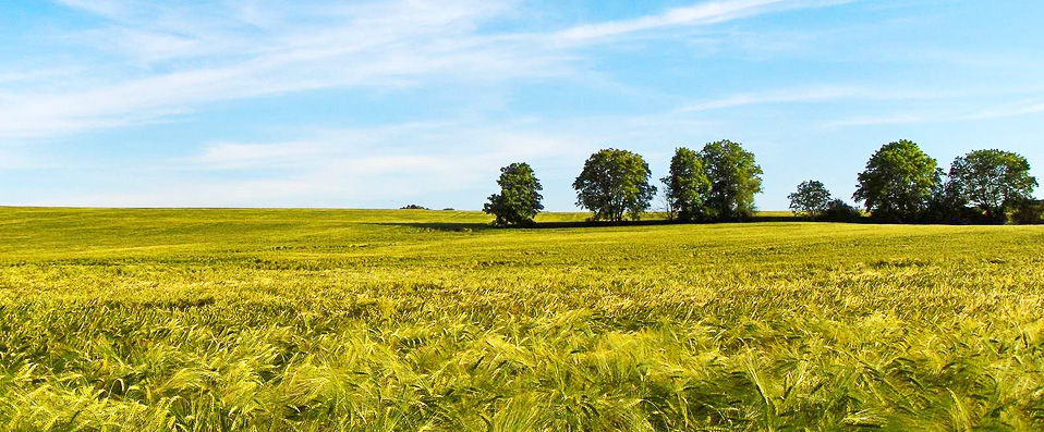Château de l'Hermitage - À moins d’une heure de Paris, la vie de château sur les traces de Van Gogh… - Val d'Oise, France