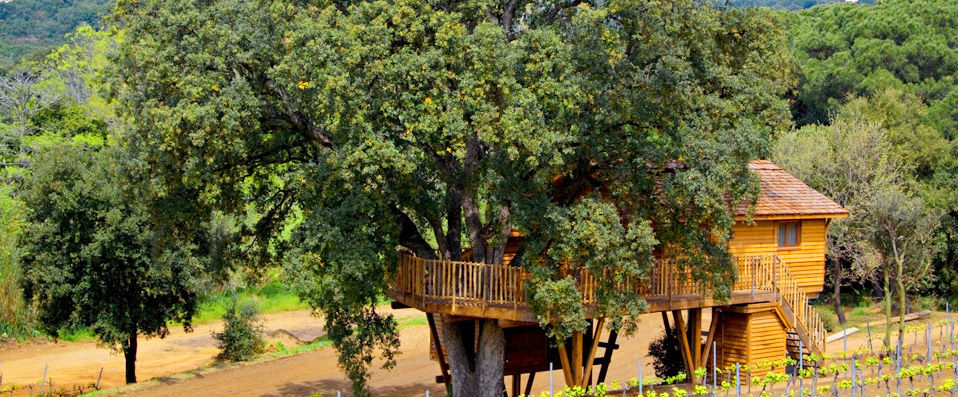 Château de Valmer ★★★★★ - Entre mer et campagne provençale, dans le Château d’un domaine viticole - Golfe de Saint Tropez, France