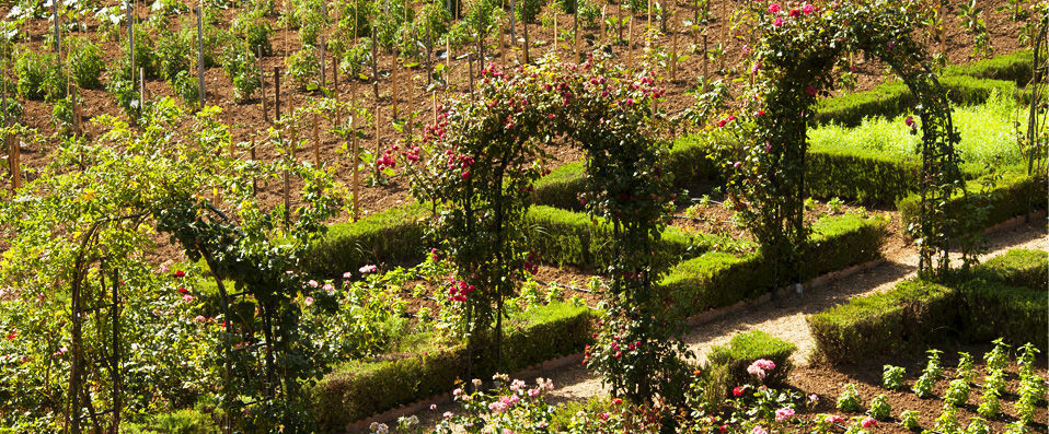 Château de Valmer ★★★★★ - Entre mer et campagne provençale, dans le Château d’un domaine viticole - Golfe de Saint Tropez, France